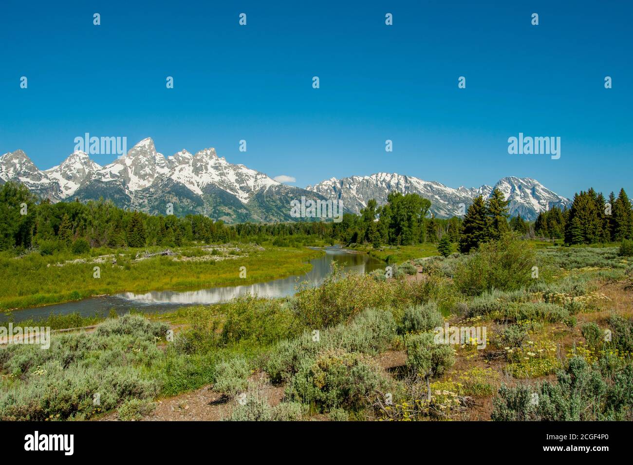Blick auf die Schwabacher Landing mit den Grand Teton Mountains, einer Bootsanlegestelle, die sich ein paar Meilen südlich des Snake River Overlook, entlang der Ostküste befindet Stockfoto