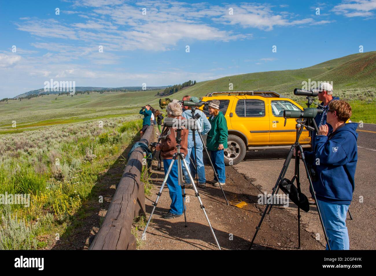 Menschen auf der Suche nach Wölfen und Bären im Lamar Valley im Yellowstone National Park in Wyoming, USA. Stockfoto