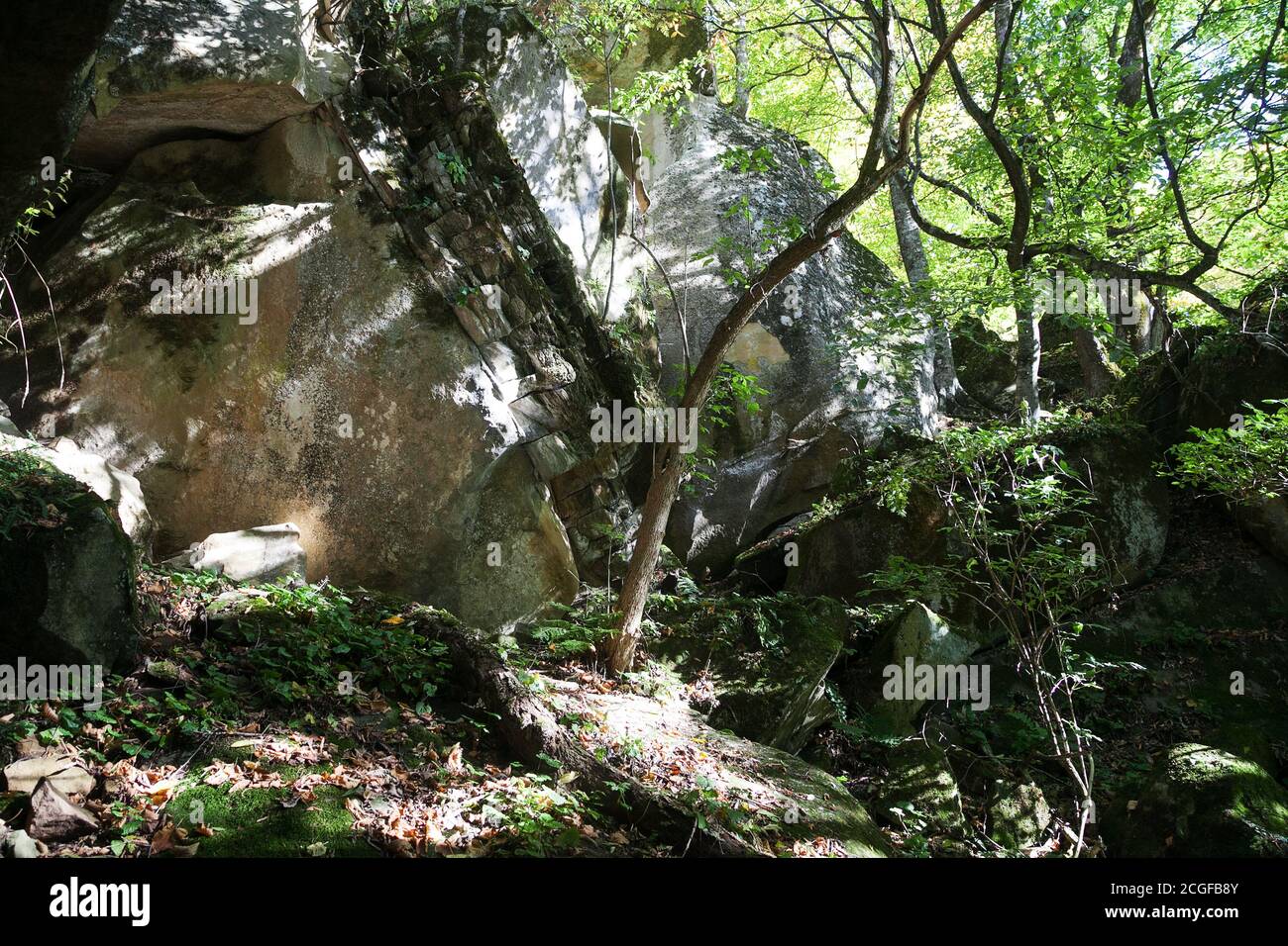 Dolmen Ruinen von Moos in einem Wald bedeckt Stockfoto
