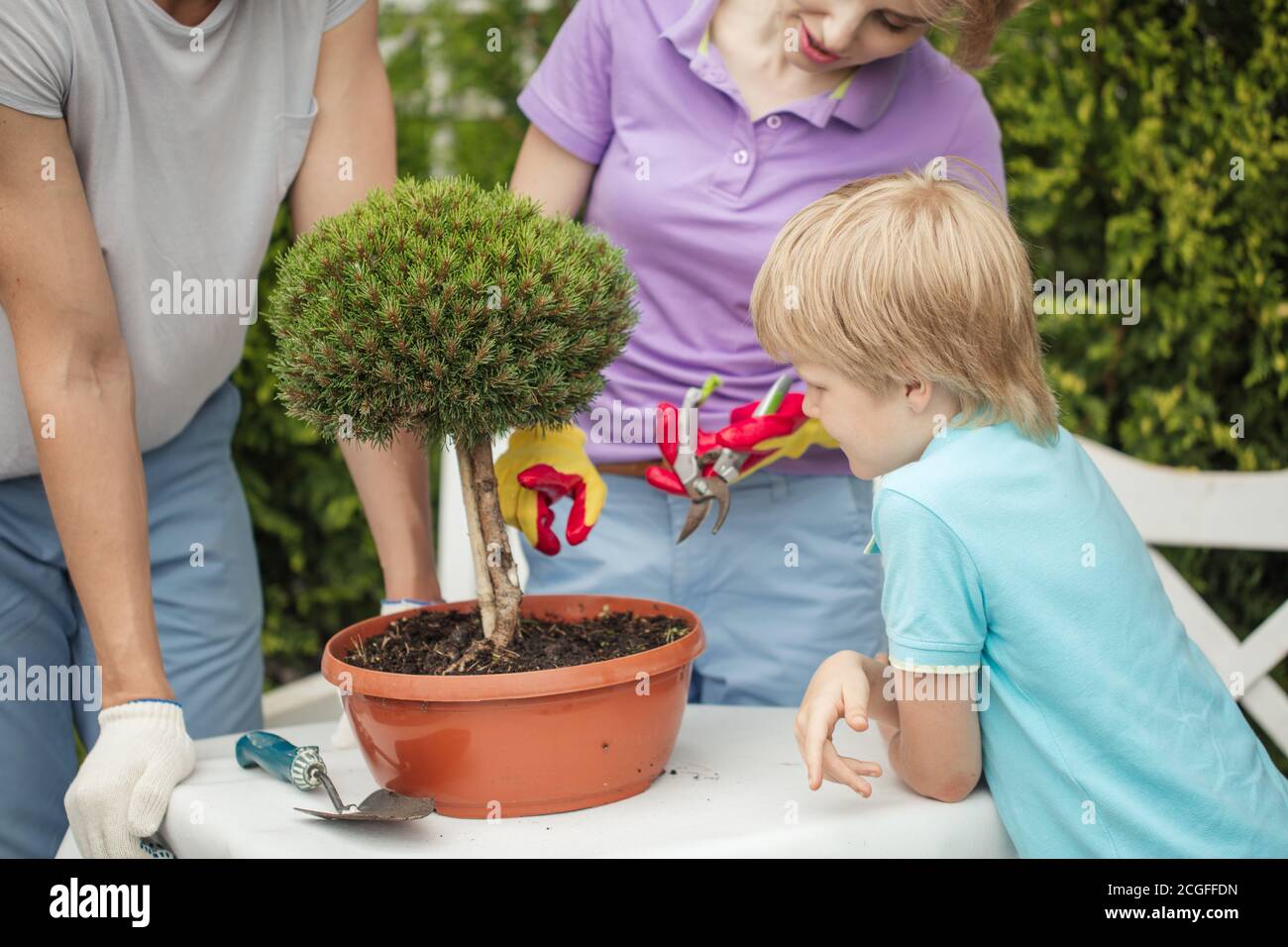 Familie Gärtner und ihren kleinen Sohn die Pflege von Bonsai Bäume