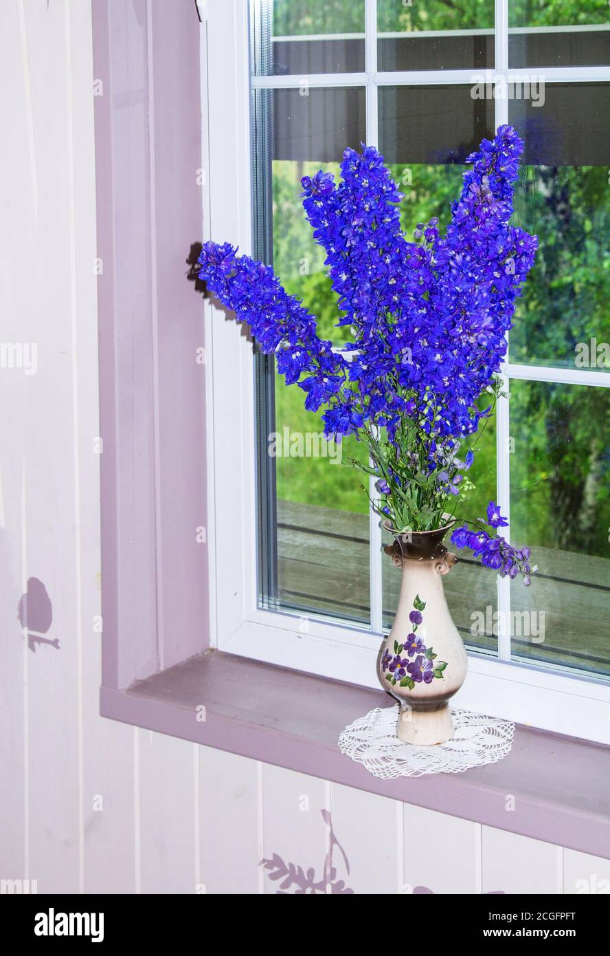 Blaue Blumen aus einem Blumenbett geschnitten stehen auf der Fensterbank in einem privaten Ferienhaus. Vertikale Ausrichtung Stockfoto