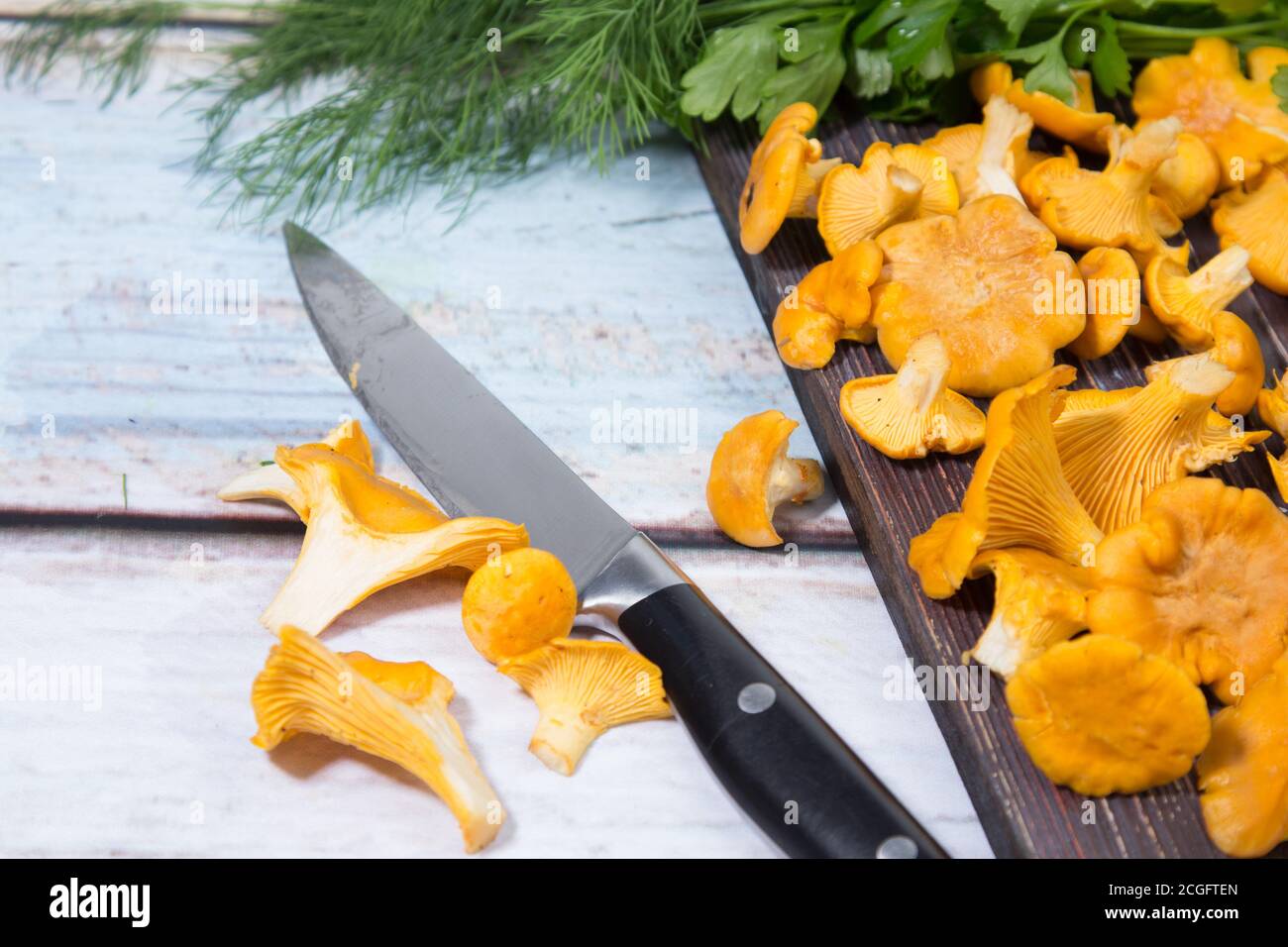 Pfifferlinge liegen auf einem dunklen Holzbrett, Dill und Petersilie liegen auf dem Tisch. Der Herbst kommt Stockfoto