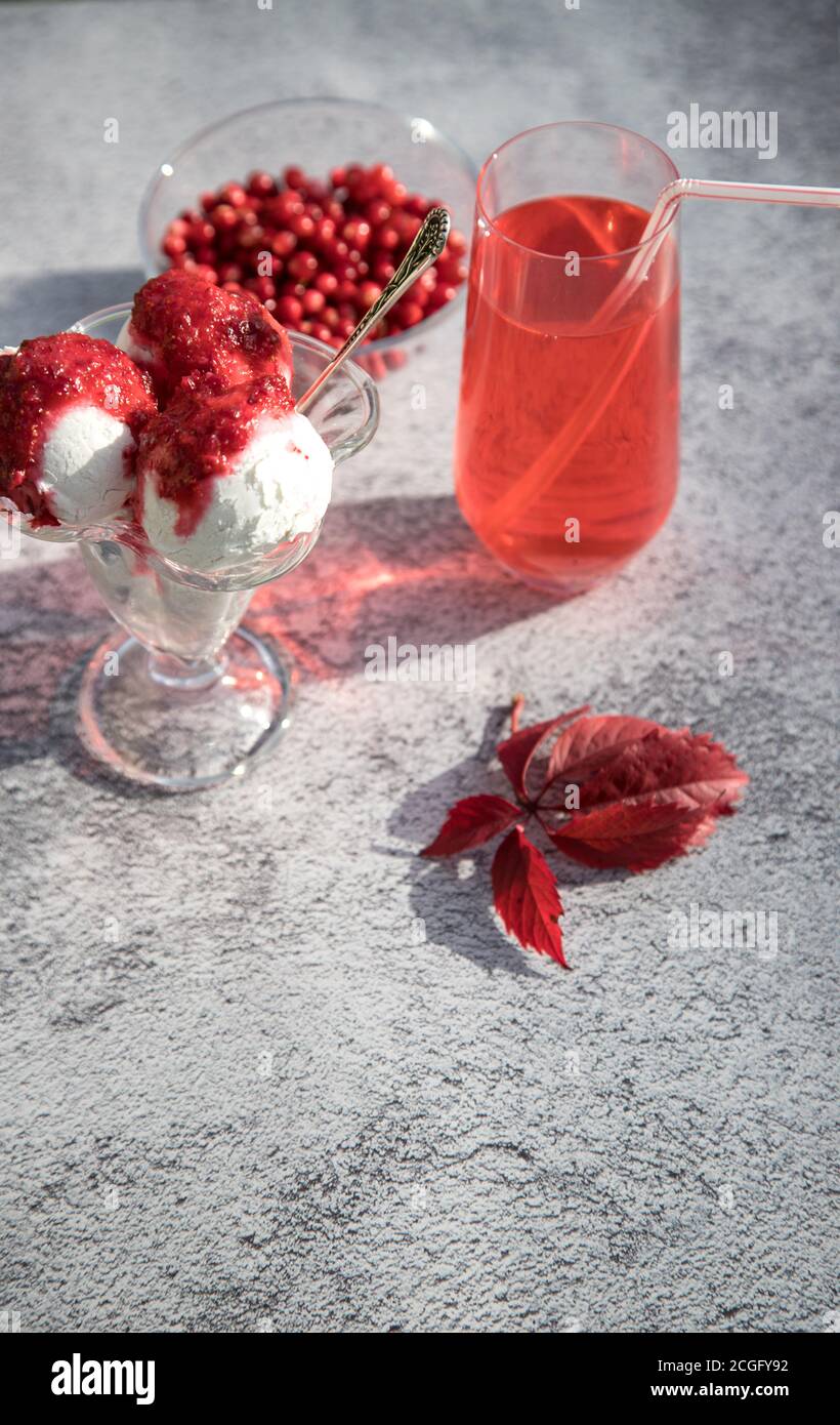 Kombucha mit roten Preiselbeeren und veganes Eis mit Beeren in einer Glasschale, Herbstblätter auf dem Tisch. Horizontale Ausrichtung Stockfoto