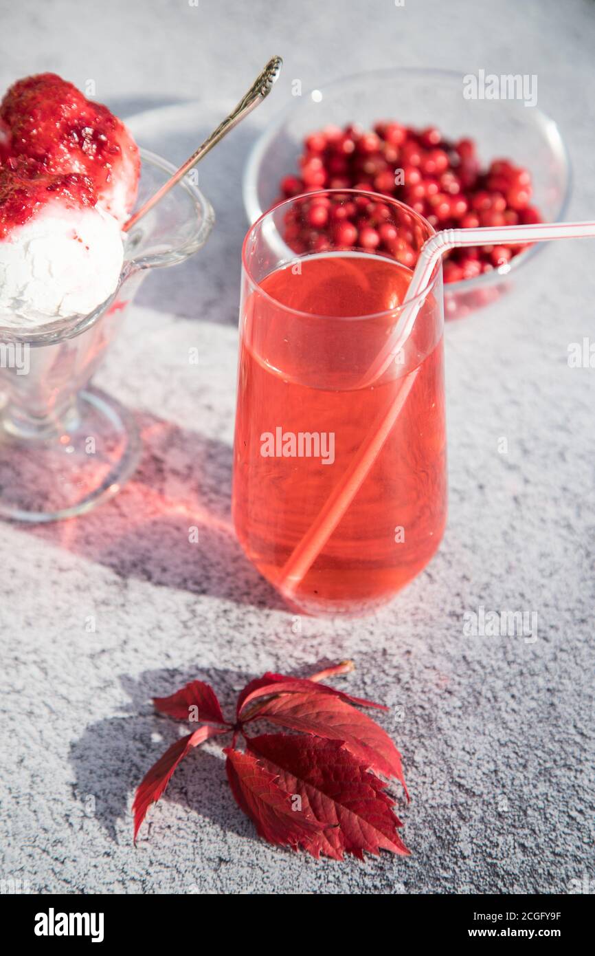 Kombucha mit Preiselbeeren und veganes Eis mit Preiselbeeren in einer Glasschale stehen Herbstblätter auf dem Tisch. Vertikale Ausrichtung Stockfoto