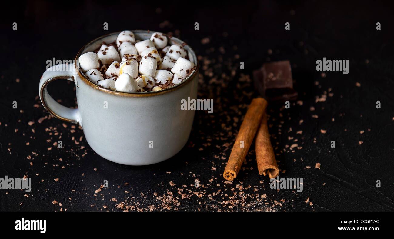 Hausgemachte heiße Schokolade oder Kakao mit Mini Marshmallow und Zimt Stockfoto
