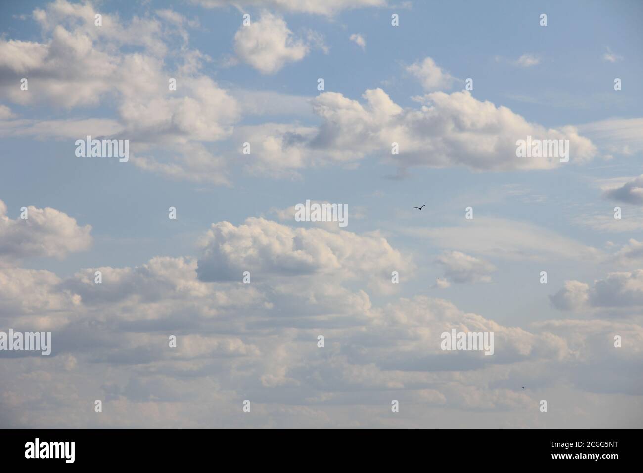 Wolken Stockfoto