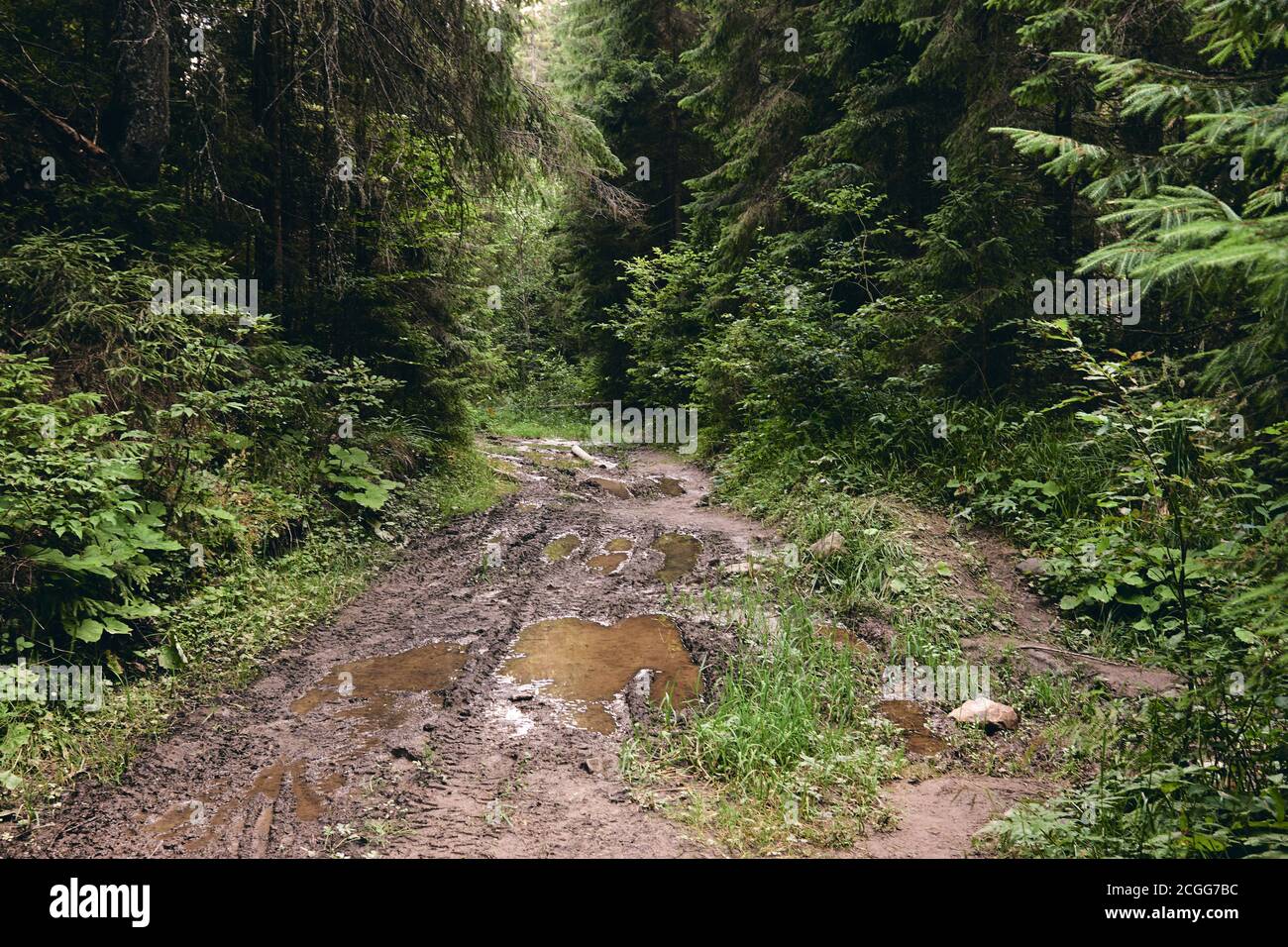 Offroad für harte Männer. Autorennen auf unbefestigten Straßen nach Regen. Rad, Motorhaube, Spiegel und Tür mit Schlamm bedeckt. Fragment von Auto Off-Road mit Herbst Natur Stockfoto