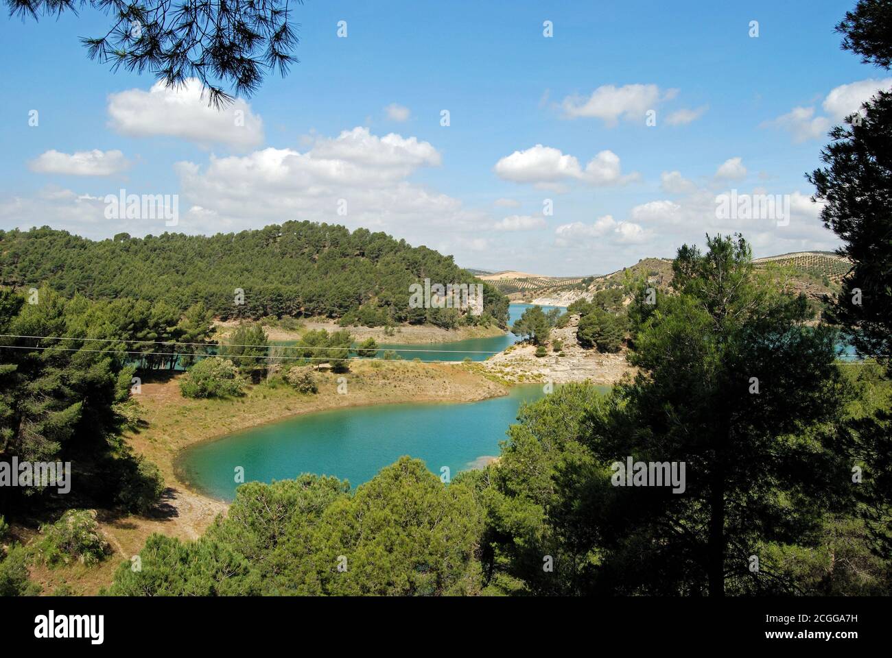 Erhöhter Blick über die Baumwipfel in Richtung Guadalhorce See und Berge, Ardales, Provinz Malaga, Andalusien, Spanien, Westeuropa Stockfoto