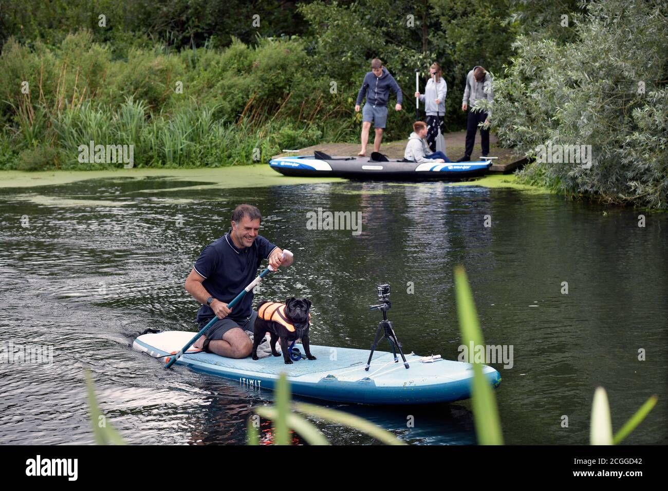Mann auf Paddelbrett mit kleinem schwarzen Hund auf dem Fluss waveney bungay suffolk england Stockfoto