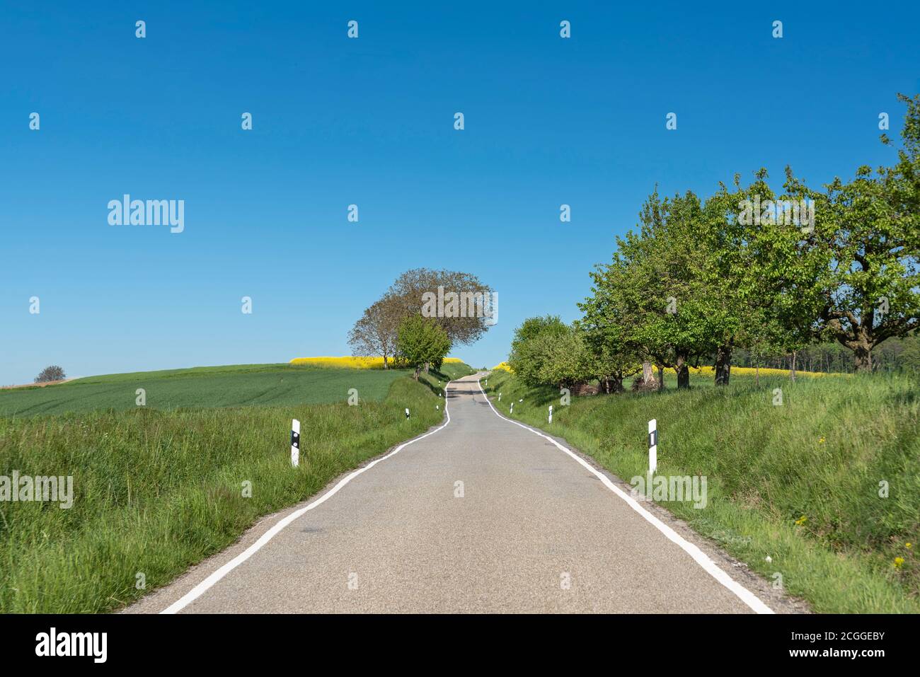 Landstraße verläuft durch landwirtschaftliche Landschaft, Walzbachtal, Kraichgau, Baden-Württemberg, Deutschland, Europa Stockfoto