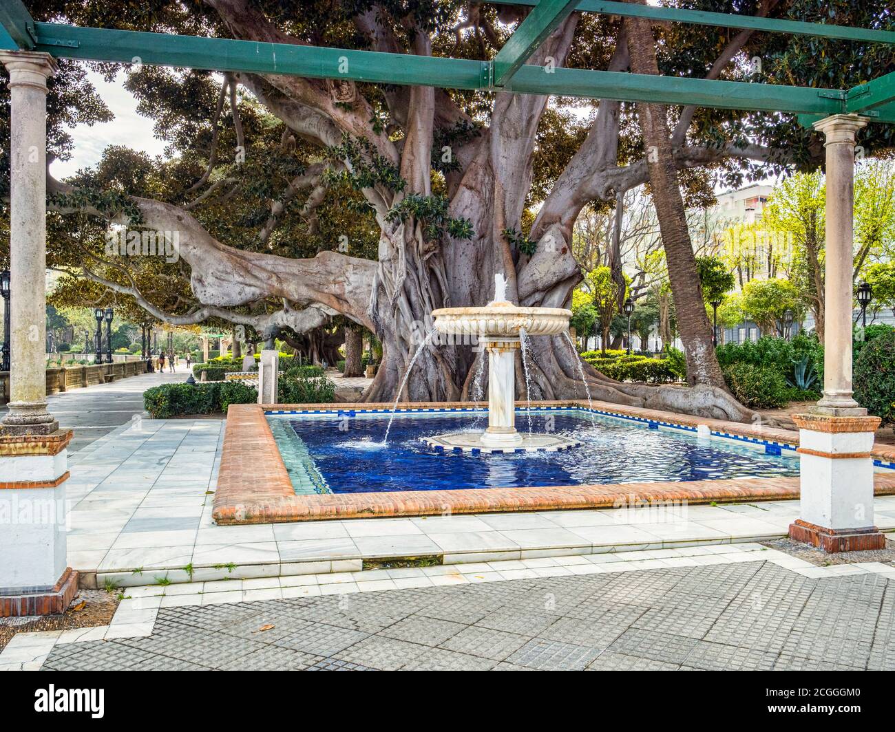 12. März 2020: Cadiz, Spanien - Brunnen in den Alameda Apodaca Gärten Cadiz, Spanien. Der riesige Baum ist Ficus Elastica und wurde um 1900 gepflanzt. Stockfoto