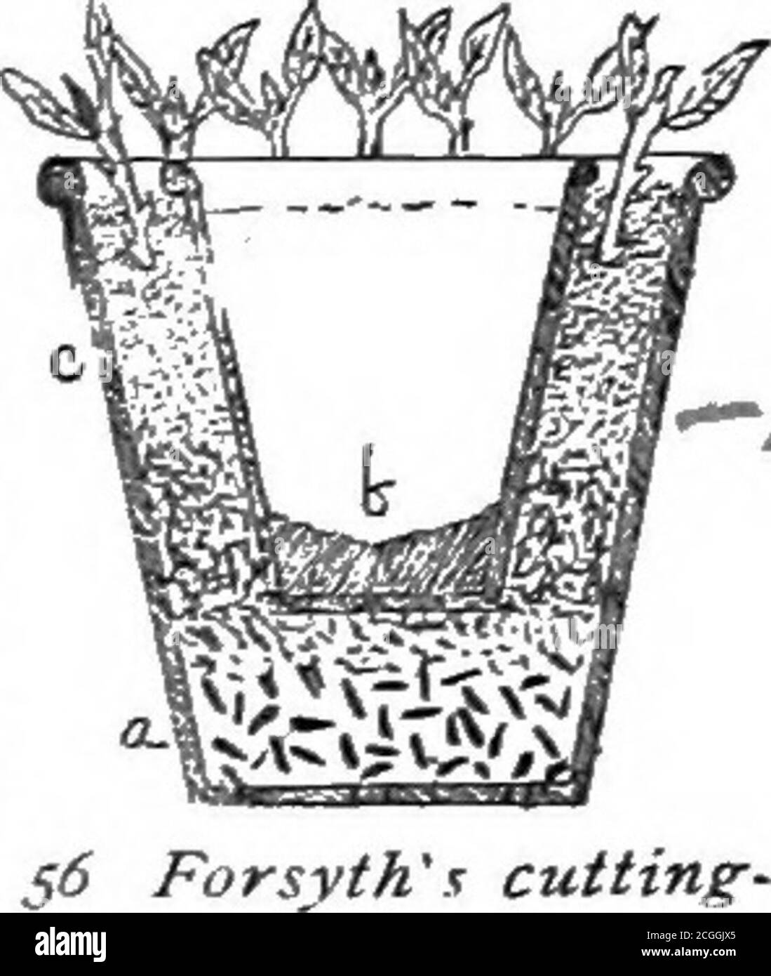 . Das Baumschulbuch; eine vollständige Anleitung zur Vermehrung von Pflanzen. Zur besten Wirkung. Diese sind normalerweise doppelte Töpfe, in einem von denen Wasser platziert wird. Agood methodis, die rep-reversed inFigur 56, die showsa Topf, b, plugged mitGips von Pfannen an der Unterseite, in einem größeren platziert. Die Erde ist zwischen den beiden platziert, Drainage-Material occu-pying den Boden, A, und feinen Boden thetop, c. Wasser steht in den inneren Potas hoch wie die gestrichelte Linie und speist sich gleichmäßig in den umgebenden Boden ein.die Positionen von Wasser und Verschmutzungen sind häufig umgekehrt, aber für den Fall, dass weniger Platz zur Verfügung steht Stockfoto