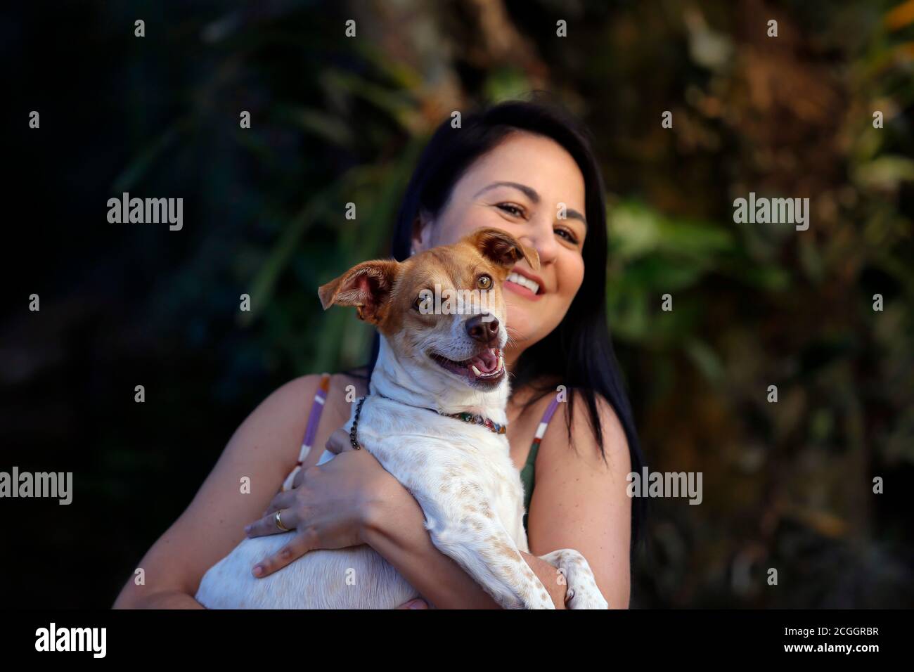 Erwachsene Brünette weiße Frau spielt mit ihrem Hund Haustier Stockfoto