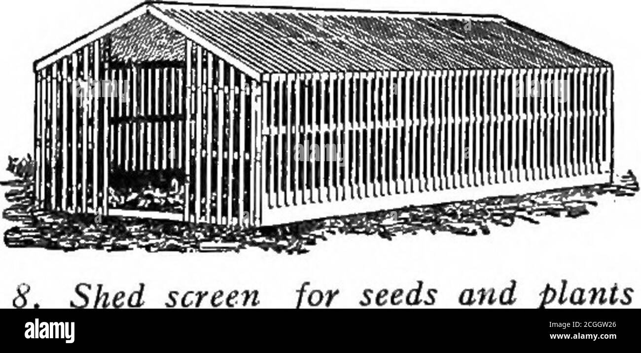 . Die Baumschule-Buch; eine vollständige Anleitung zur Vermehrung von Pflanzen . 7. Bildschirm für Rahmen für die meisten Zwecke. Die Bürste wird oft direkt auf den Boden gelegt, vor allem in großen Betten. Dies beantwortet die gezielte Verschattung, aber es erlaubt nicht von Unkrautbildung, und es muss sich bald nach der Samen keimen, oder schlanke Pflanzen werden in seiner Entfernung verletzt werden. Bürstenbildschirme sind manchmal drei oder vier Füße angehoben, um Jäten zu ermöglichen. Ein Bildschirm für Frames ist in Abb. 7. Es ist eine einfache Abdeckung von muslinstrecked über die Oberseite und die Seiten eines rauen Rahmens. Das Tuch wird üblicherweise aus dem f weggelassen Stockfoto
