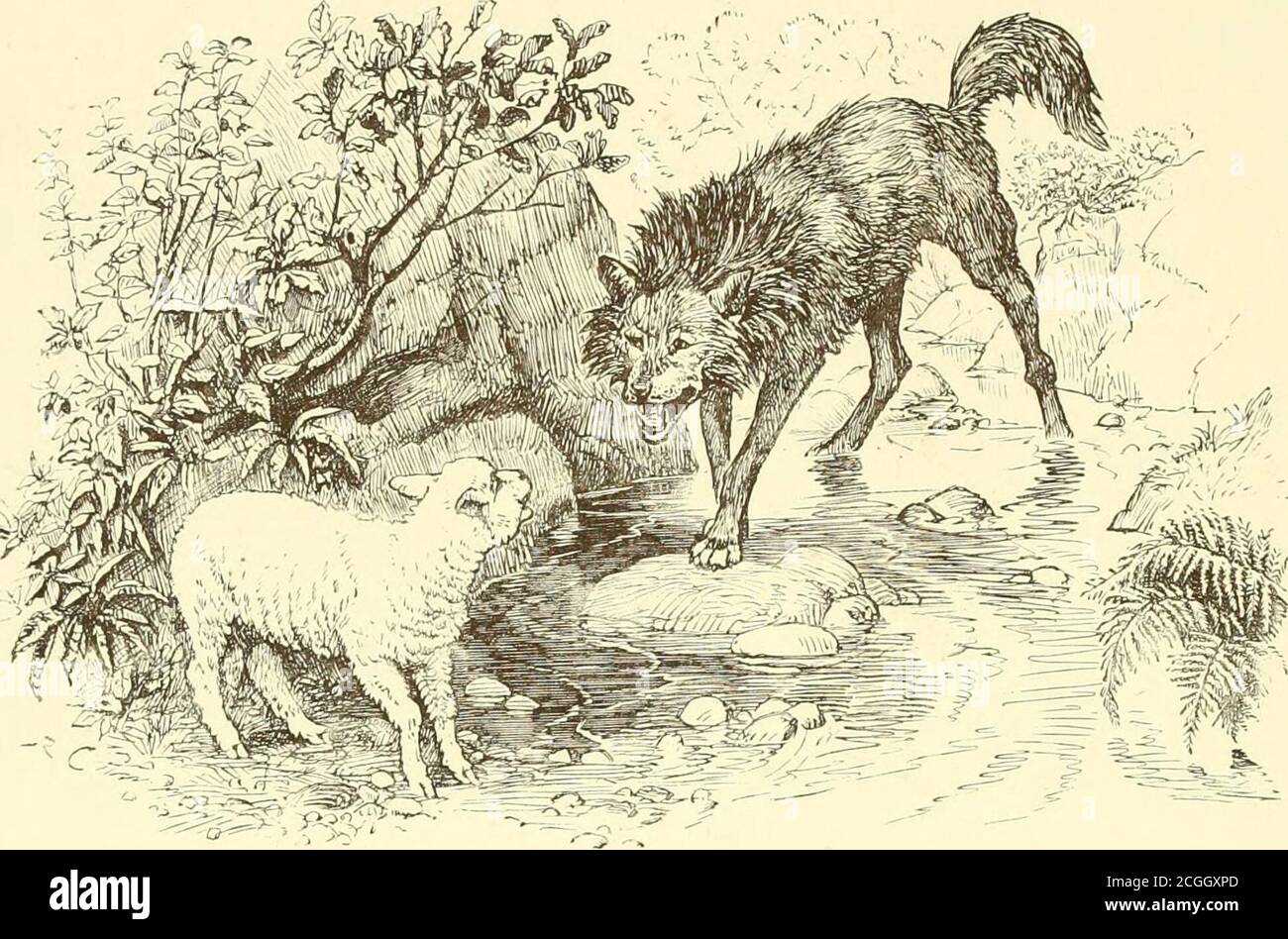 Der Wolf Und Das Lamm Phaedrus Interpretation www.alamy.de