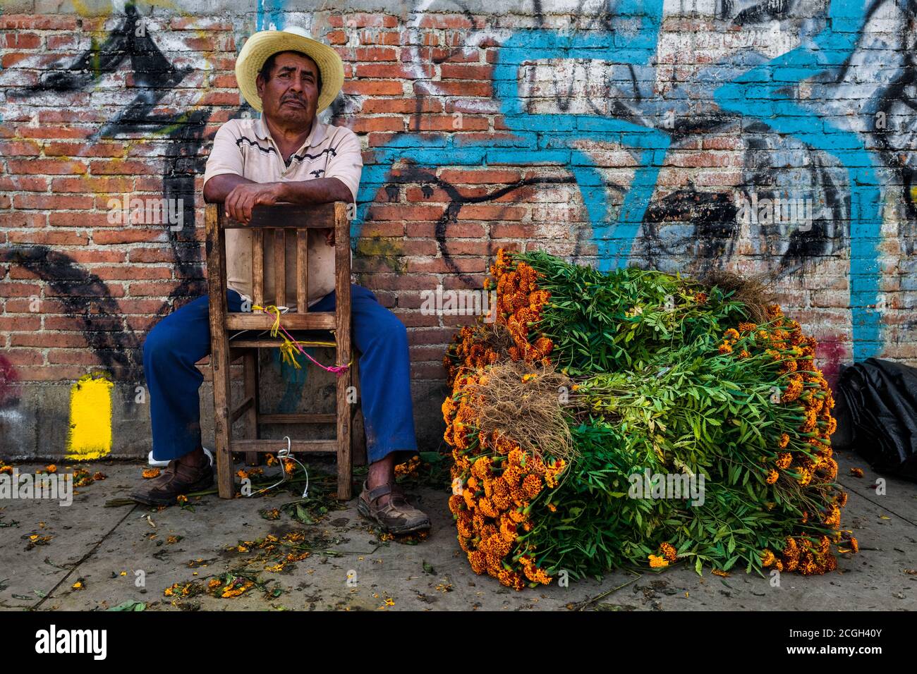 Ein mexikanischer Blumenmarkthändler verkauft Stapel Ringelblumen (Flor de muertos) für die Feierlichkeiten zum Tag der Toten in Oaxaca, Mexiko. Stockfoto