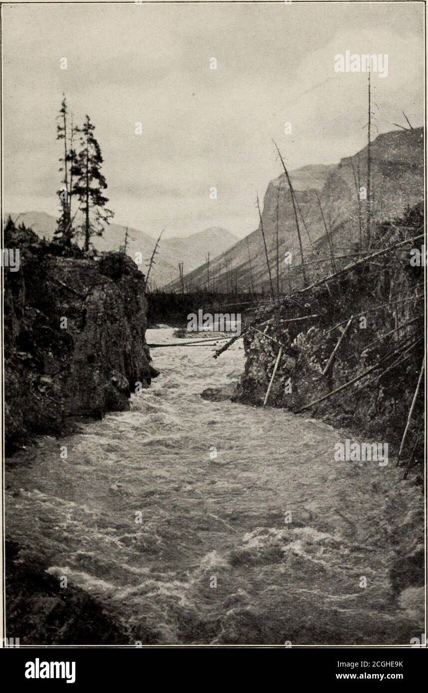 . Touren Alaska und der Yellowstone . hat gnadenlos fiel, wie Tomahawks, zu arbeiten. Szenen wie diese sind die weißen Steine eines Lebens. Über zweitausendfünfhundert Füßeoberhalb des Tales, auf der Seite dieses Berges, mostpicturesque und herrlich, kann ein kleines Haus beseen, mit einem Tunnel in der Nähe. Das ist, wie wir erfuhren, eine Silbermine, deren Besitzer, so scheint es, keine Angst vor Trampen oder Dieben haben, denn die enge Straße, die zu ihr führt, ist gefährlich genug, um den härtsten Schurken vom Versuch abzuhalten. Man wird nie müde von der Betrachtung der egigantischen Berge, und für diejenigen, die m wollen Stockfoto