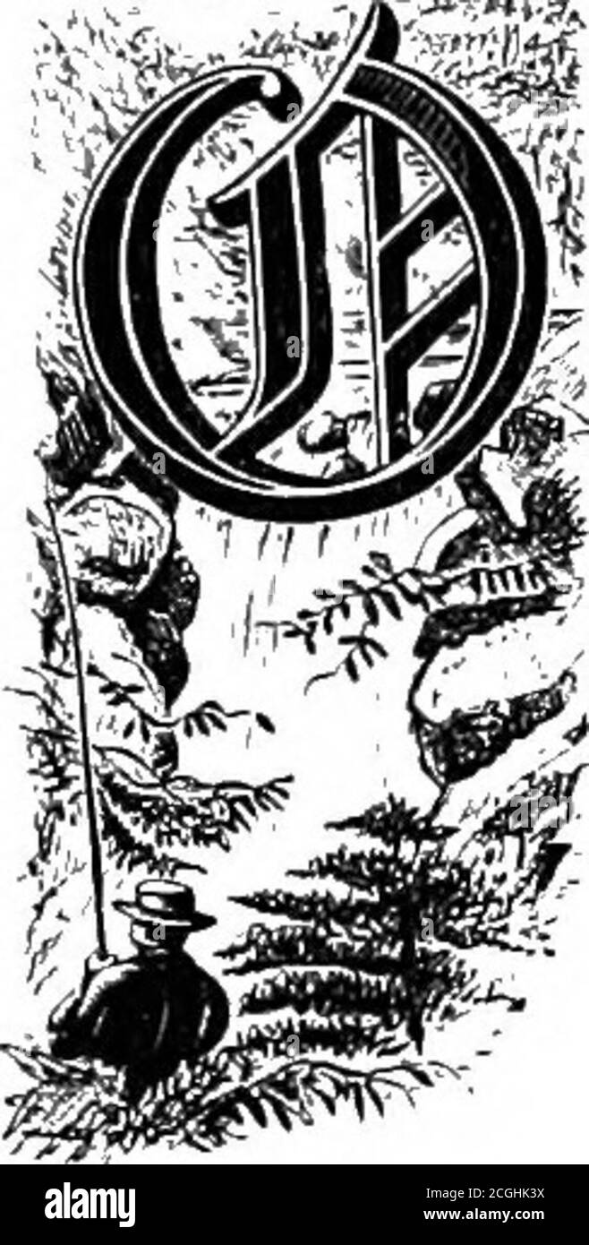 . Vergnügen des Angelns mit Rute und Haspel für Forelle und Lachs. Alle gedankenvollen Männer aller Altersgruppen. Es ist die Erinnerung an diese sozialen Wiedervereinigungen, an denen Männer von verwandten Geschmäckern und Sympathien teilnahmen, Die diese fernen Solituden gesucht haben, auf ihre einfache Weise glücklich zu sein, ganz so muchas der Streik und der Kampf des Wildlachses, der die Erinnerung an diese Zeiten der Wiedererschaffung macht und eine Freude für immer ausruhen lässt. Diejenigen, die es nicht finden, so haben noch nicht imbibed den Geist der Väter, noch erreicht, um die höchsten Möglichkeiten der sanften Kunst. CHAPTEE XVI.. A. ANGENEHME ATMOSPHÄRE Stockfoto