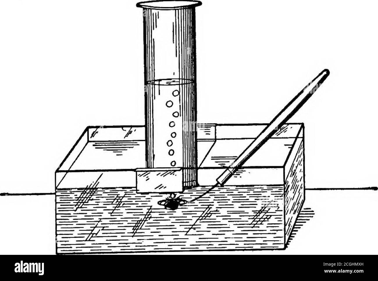 . Einführung in die anorganische Chemie . Abb. 33. Natrium, das zu den Substituenten des gemeinsamen Salzes gehört, kann verwendet werden, um diese Art von Aktion zu veranschaulichen. Da es leichter als Wasser ist, muss es mit einem Stück Drahtgaze unter der Oberfläche gehalten werden, damit das Gas gesammelt werden kann (Abb. L 34, S. Der größte Teil des Wassers dient dem mechanischen Zweck, das Sammeln des Gases zu ermöglichen, und nur ein kleiner Teil davon nimmt an der Veränderung Teil. Die Lösung hat ein seifiges Gefühl und verwandelt den Lackmus von rot zu blau. Diese Farbreaktion ist das genaue Gegenteil von der von Säuren (S. L 93, S. Stoffe 98 INORGAN Stockfoto