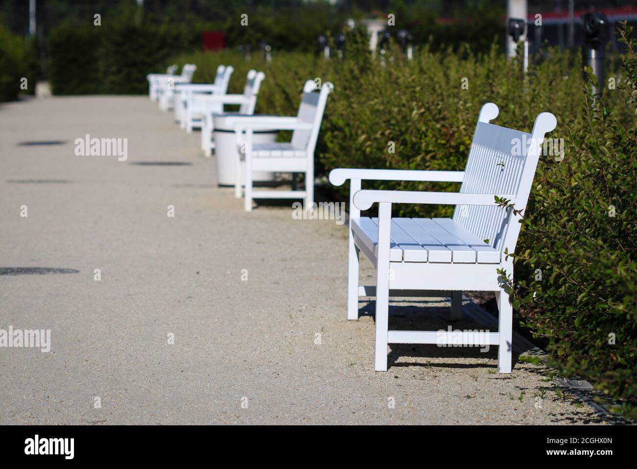 Perspektive von leeren weißen Bänken in einer Reihe an der Öffentlichkeit parkallee Stockfoto