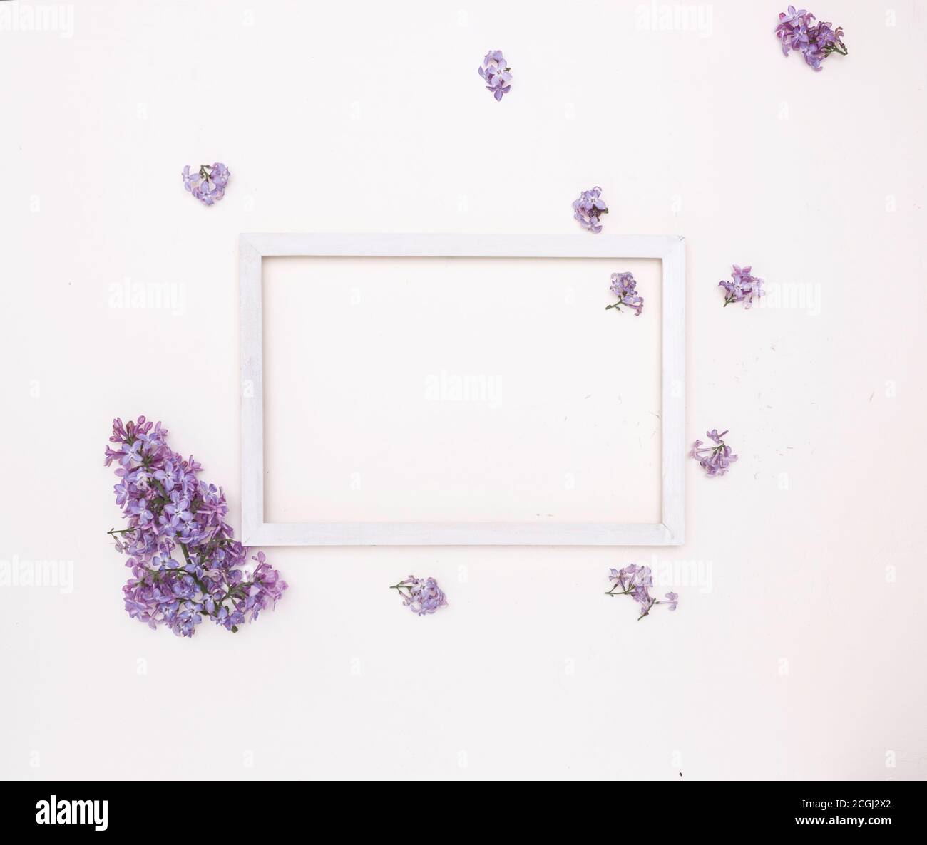 Weißer Holzrahmen auf weißem Hintergrund und lila Blüten. Freier Speicherplatz für Text, Mockup. Stockfoto