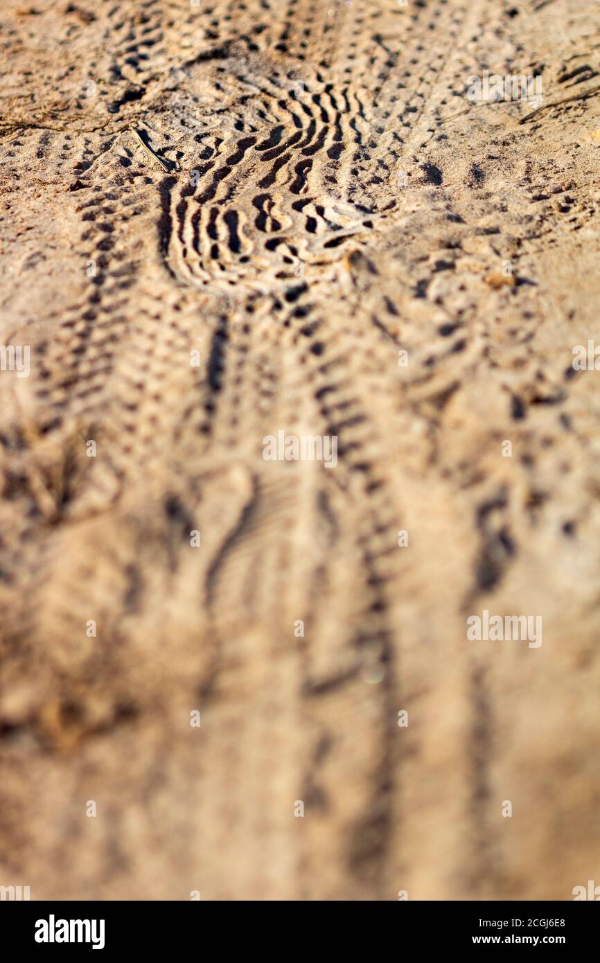 Fußabdrücke und Radreifenmarkierungen im Sand schaffen ein abstraktes Design Stockfoto