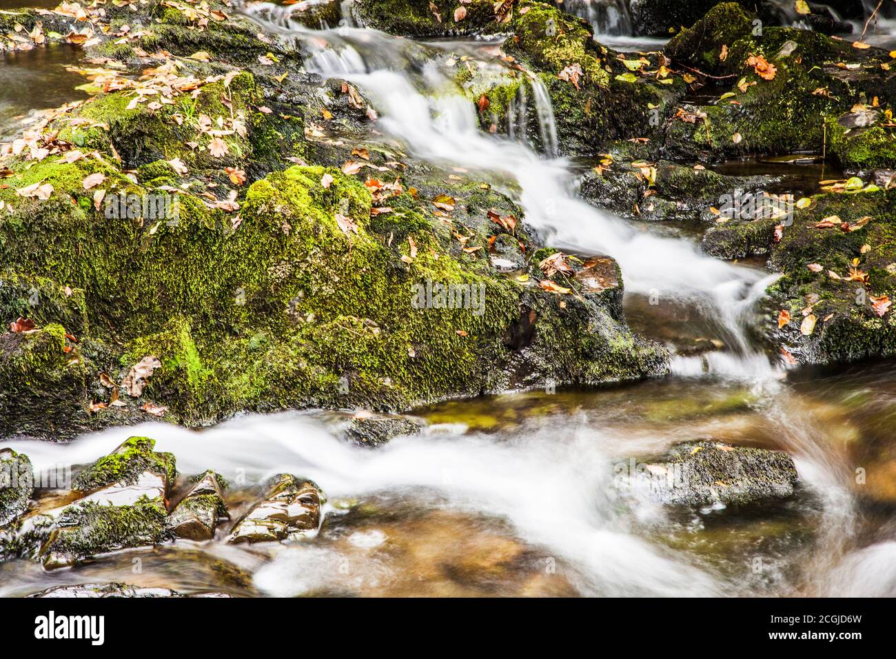 Eine kleine Kaskade in einem Bach im Lake District in der Nähe von Coniston Water. Stockfoto