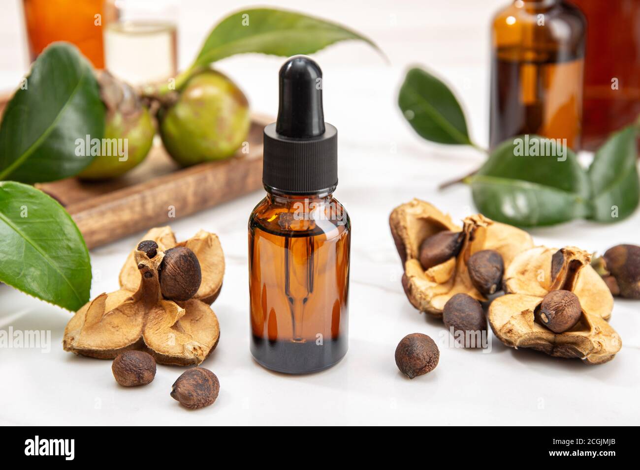 Flasche mit ätherischem Öl der Kamelie und Samen der Kamelie. Schönheit, Hautpflege, Wellness Stockfoto