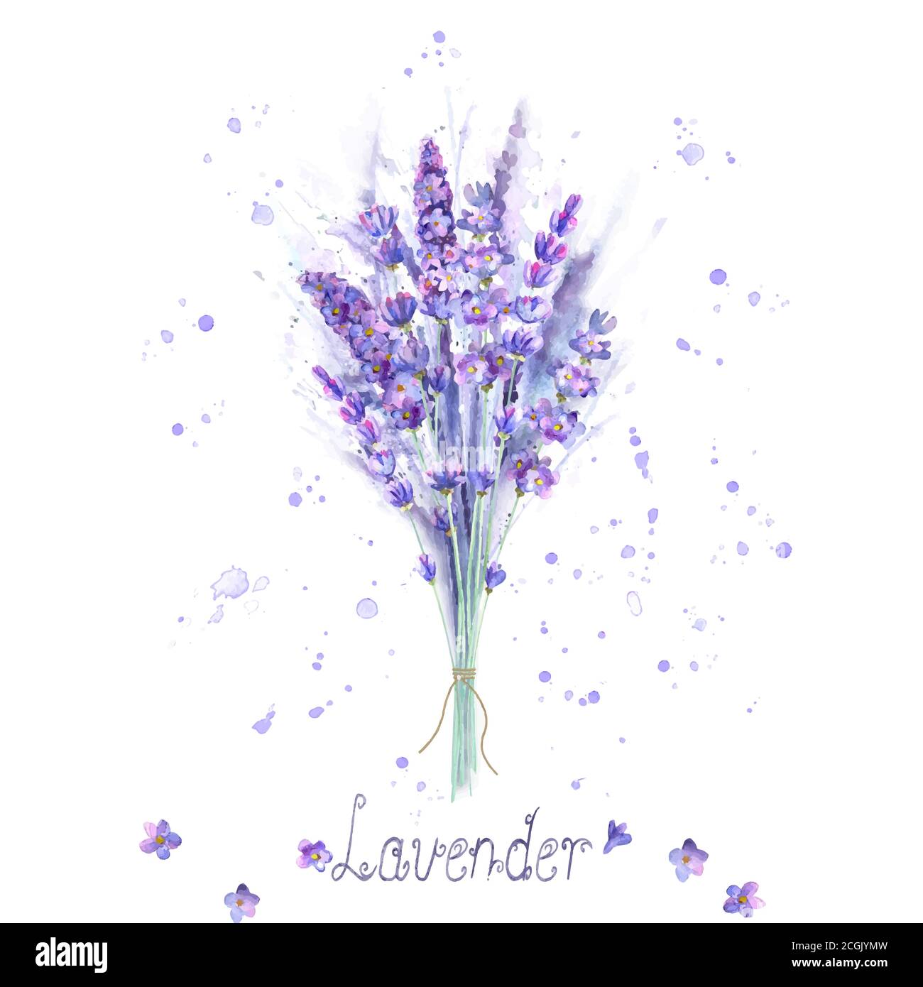 Aquarell Lavendel Bouquet. Lavendelblüten, Pflanzen, Aquarellspritzer und Schriftzug auf weißem Hintergrund. Lila grün handgezeichnet botanischen illus Stock Vektor