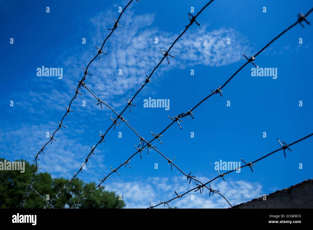 Zaun mit Stacheldraht Heckenschutz Gefängnis Stockfoto