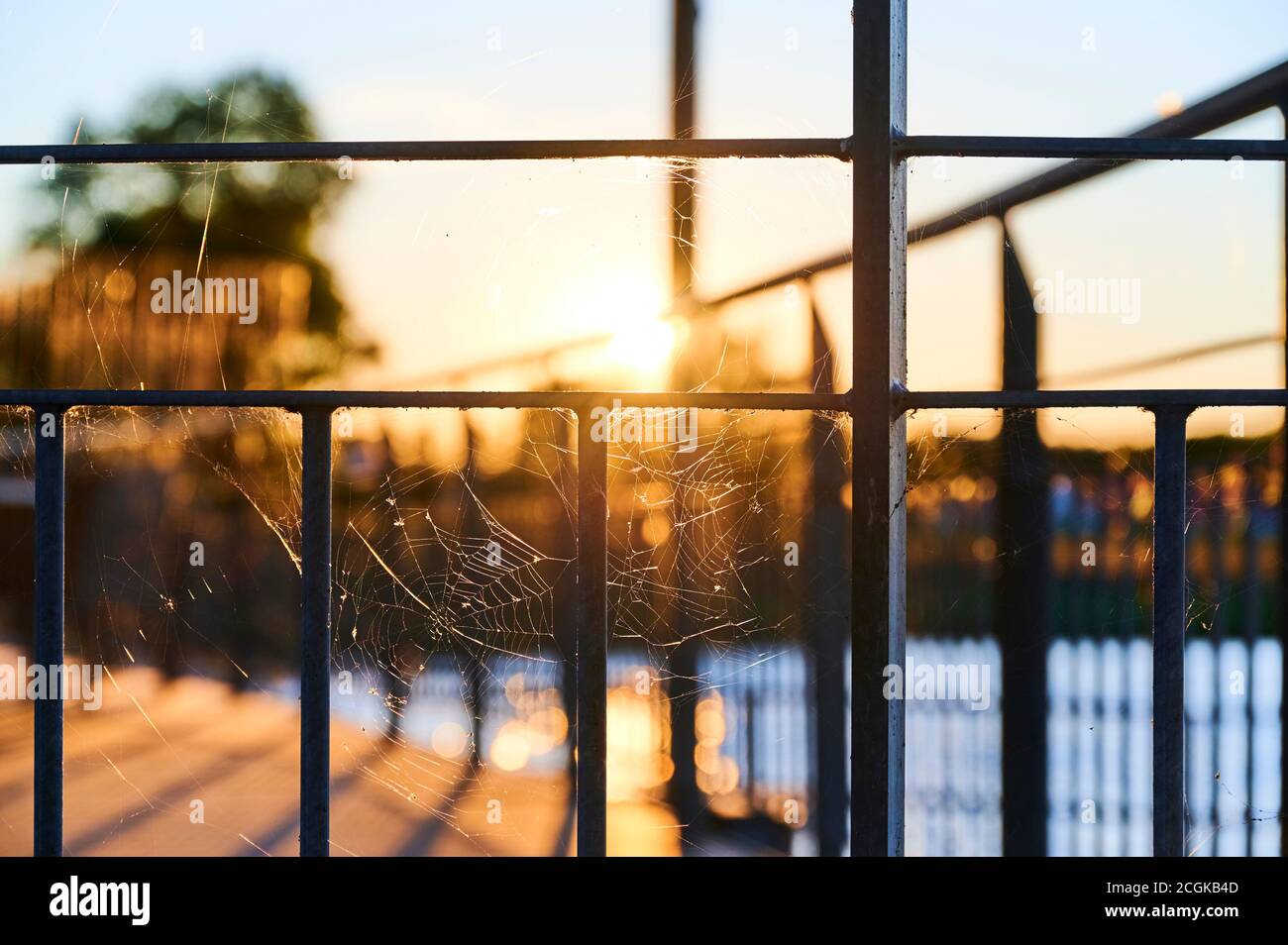 Ein Spinnennetz spann sich zwischen den Streben eines Geländers und ließ sich durch das Licht der untergehenden Sonne glitzern. Stockfoto