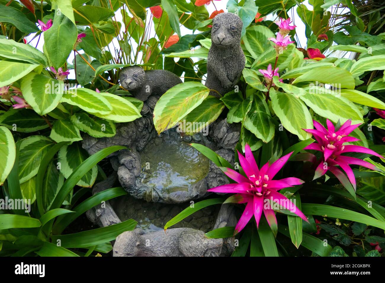 Nahaufnahme dekorativer Garten mit einem kleinen steinigen Brunnen und Stein Figur in der Mitte von schönen Blumen und Blättern Stockfoto