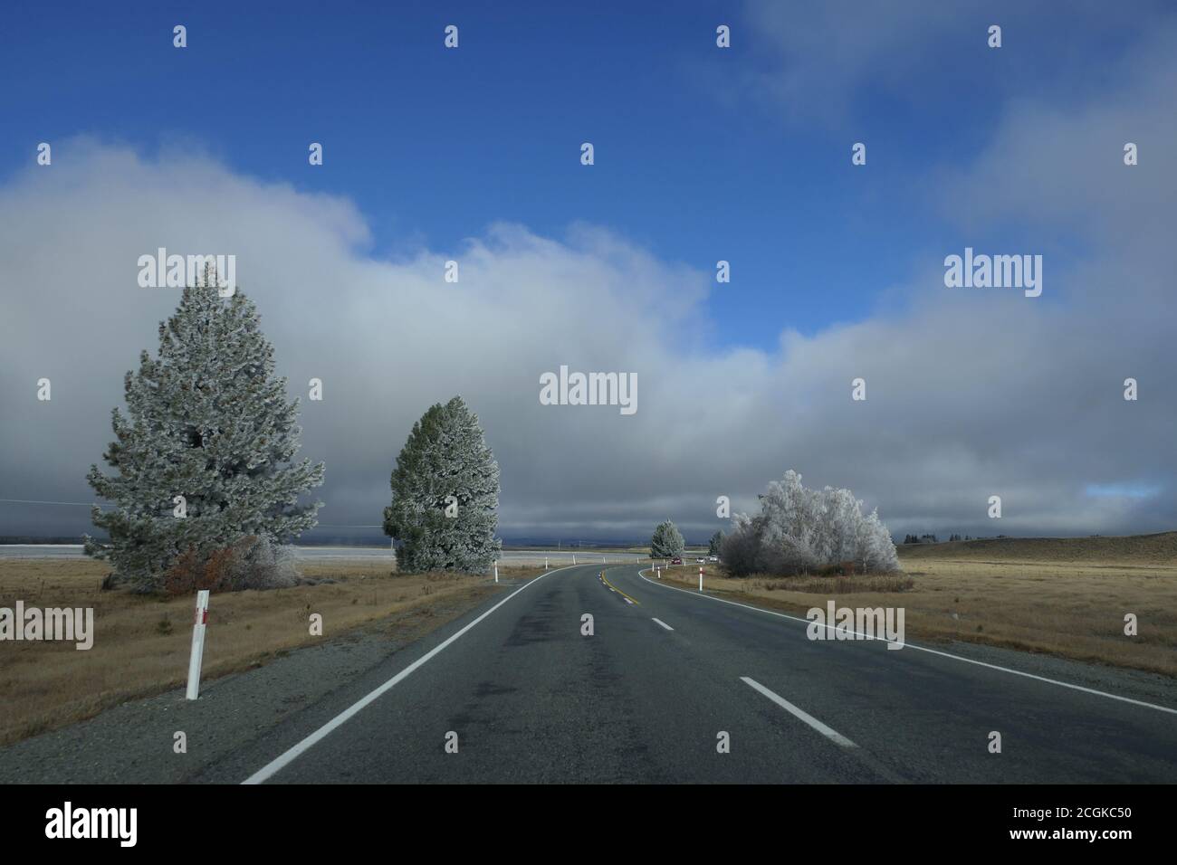 Landschaftlich reizvolle Straße durch eine magische Winterlandschaft mit Milchtannen Und Gras und blauer Himmel Stockfoto