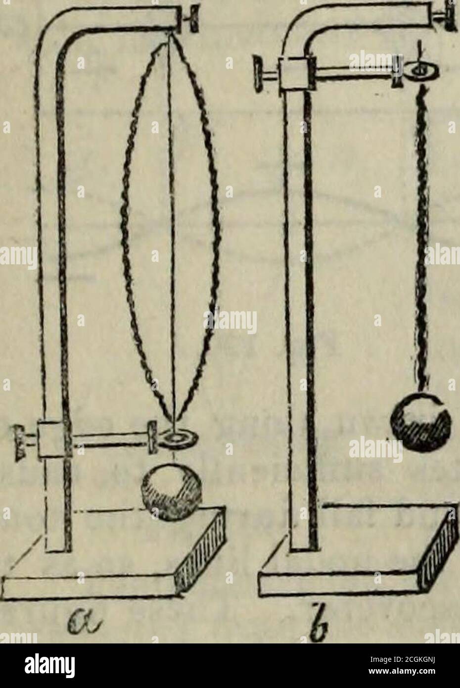 . Der Familienlehrer . Aalstangen und Glasplatten können in musikalische Schwingungen geworfen werden. Im Fall von Fäden und Drähten kann ein ausreichender Grad an Elastizität durch gewaltsames Dehnen gegeben werden. Wellen auf der Oberfläche von Flüssigkeiten werden durch die Gravitation erzeugt.Es gibt drei verschiedene Arten von Schwingungen, in die eine gestreckte Schnur geworfen werden kann: Quer, längs und verdreht. Diese können durch das in Abb. 186.Es besteht aus einem Stück spiralförmig verdrehten Draht, gestreckt froma Rahmen von einem Gewicht. Wenn das untere Ende des Drahtes durch eine Klemme, auf pu Stockfoto