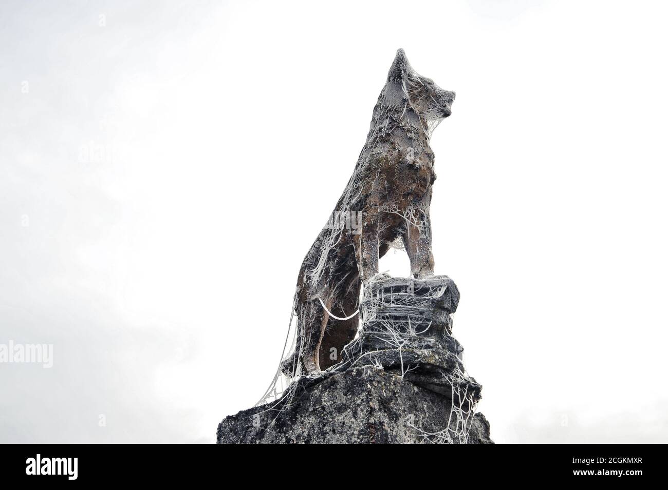 Gravellona Lomellina - 12/30/2011: Dekorative Hundestatue bedeckt mit Frost im Winter Stockfoto