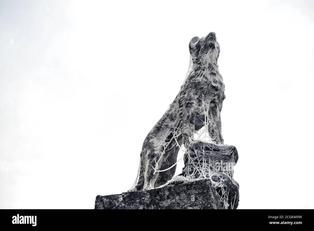 Gravellona Lomellina - 12/30/2011: Dekorative Hundestatue bedeckt mit Frost im Winter Stockfoto