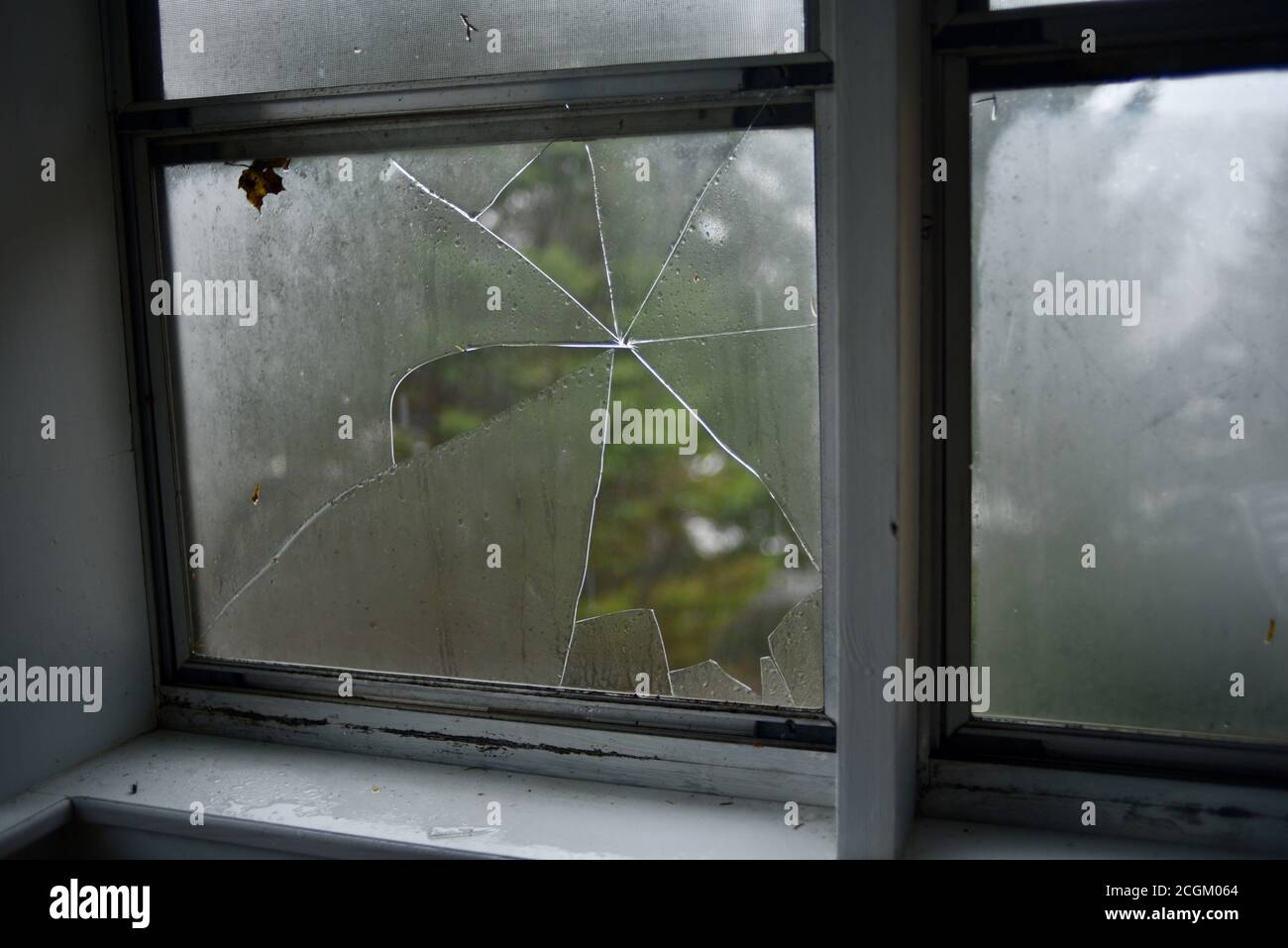 Große Hagel Steine in schweren Sturm zerschlagen und brechen Fenster, Wetter durch den Klimawandel globale Erwärmung verschlimmert, Browntown, Wisconsin, USA Stockfoto