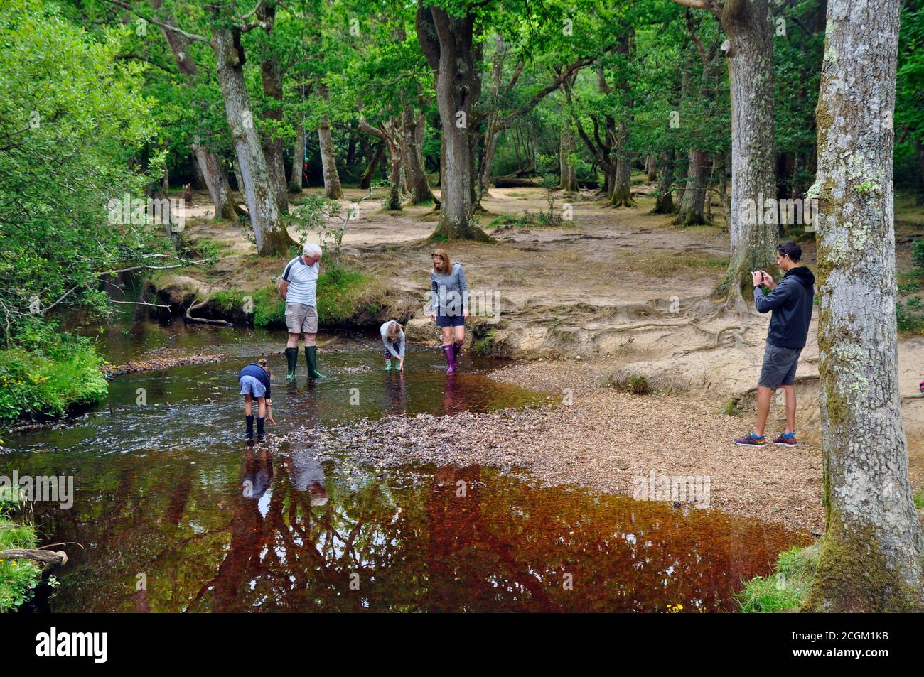 Eine Familie, die die Ruhe und einen flachen Bach im New Forest in Hampshire, Großbritannien, genießt Stockfoto