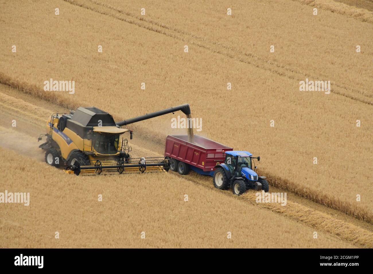 Ein Mähdrescher, der sein Getreide in einen Traktor herunterlädt, zieht einen Anhänger auf einem Feld in der Nähe von Mere in Wiltshire. England .UK Stockfoto