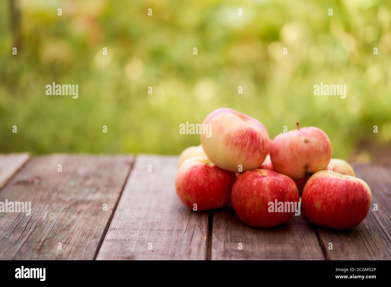Rote Äpfel liegen auf einem Holzbrett mit trockenen Ähren. Grüner unscharfer Hintergrund Stockfoto