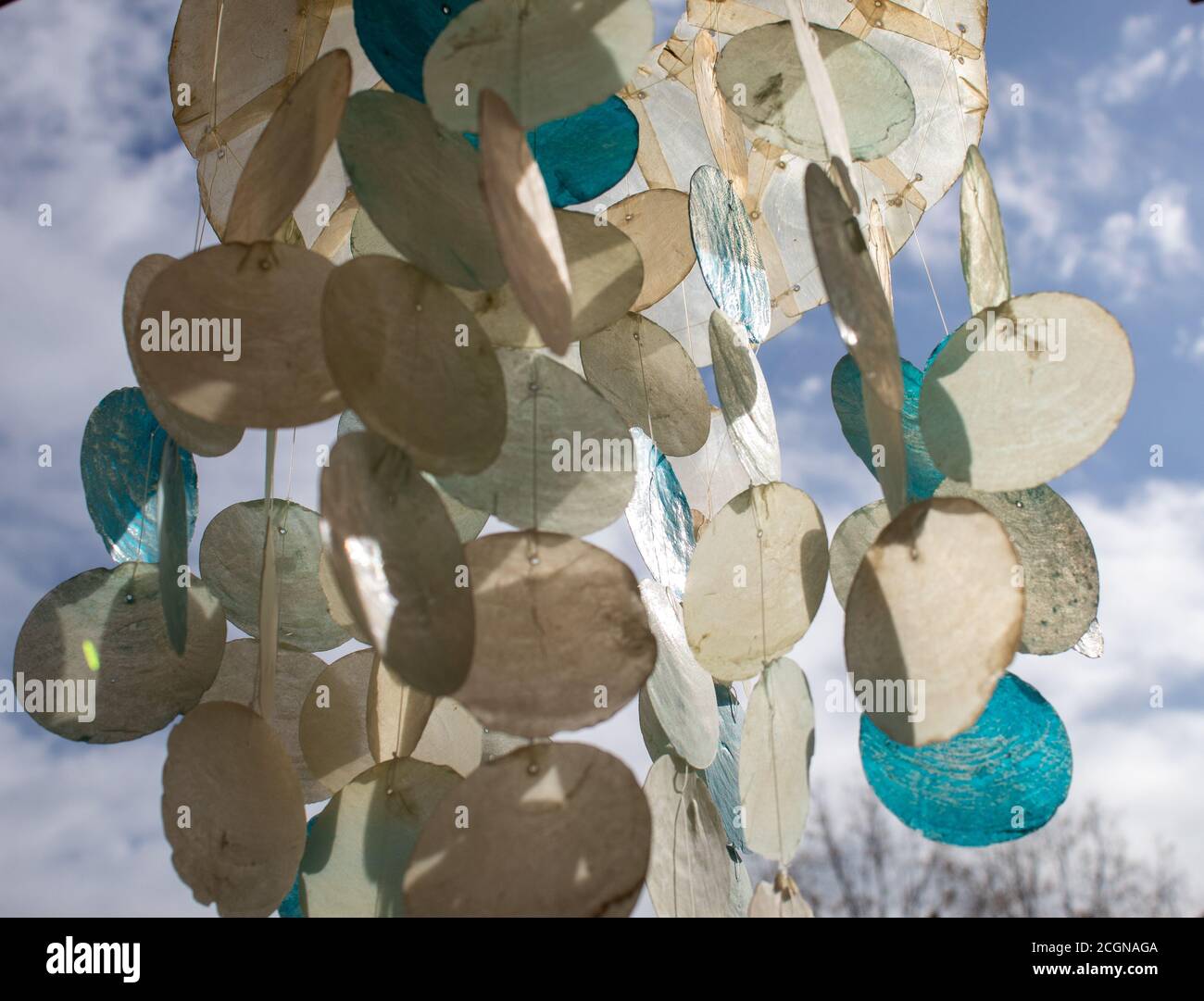 Windspiele aus Angelschnur und Muscheln. Stockfoto