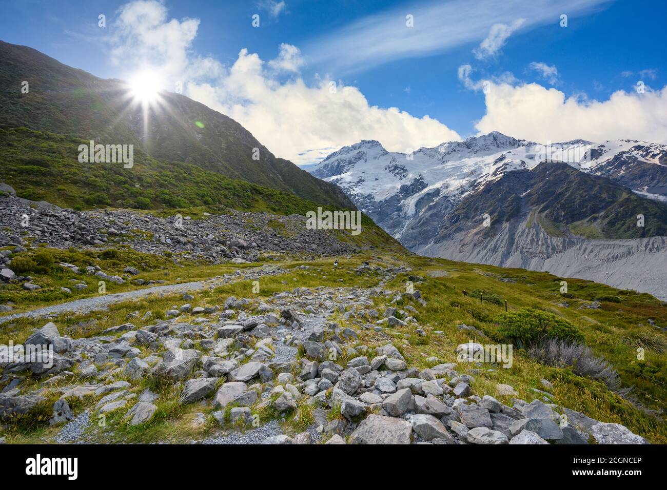 Panoramablick auf den müller-Gletscher am Kea Point im Mount Cook Nationalpark, die felsigen Berge und grünen Gräser des Sommers in Neuseeland. Stockfoto