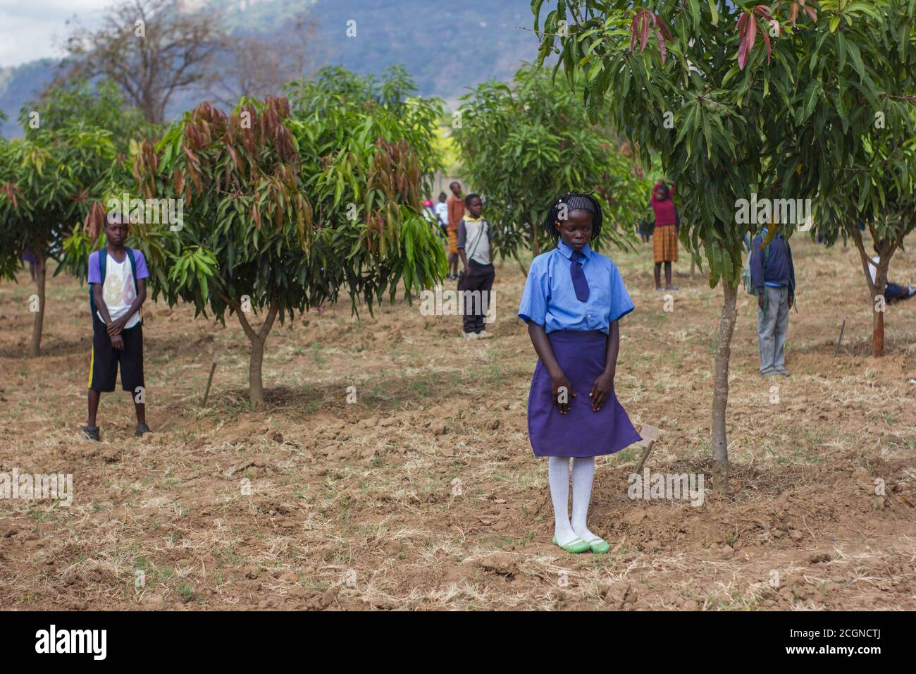 Schüler, die während eines Wiederaufforstungsprojekts in der Nähe ihrer Bäume auf ihrem Schulhof stehen, ein Schüler, eine Pflanze Stockfoto