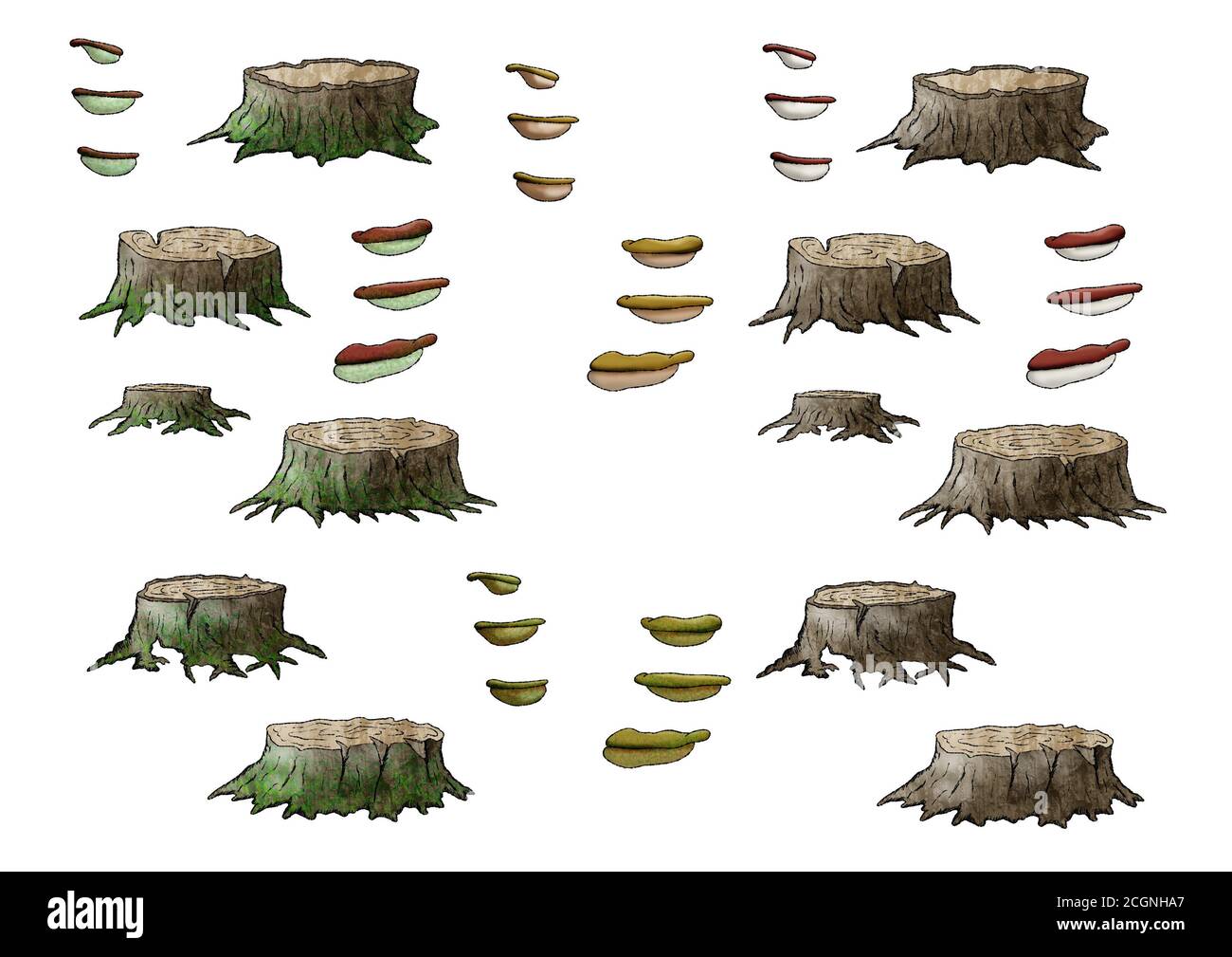 Verschiedene Stumps und Pilze wachsen auf Bäumen Illustration auf weißem Hintergrund. Stockfoto