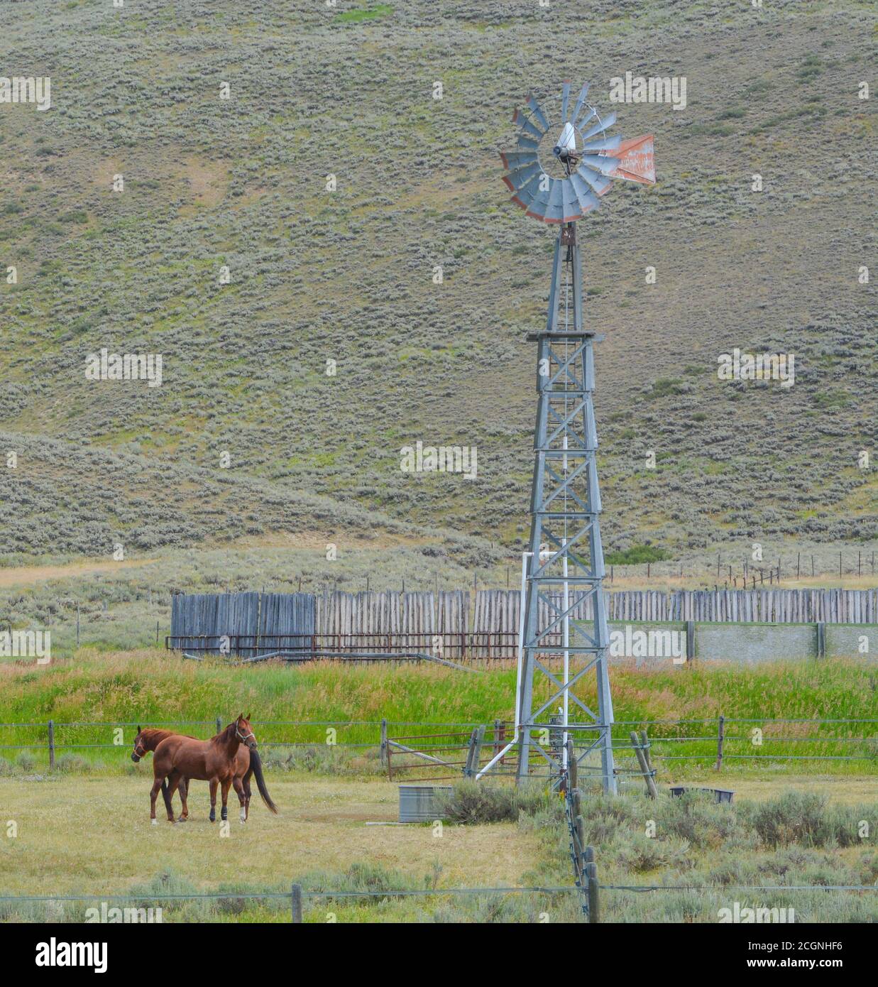 Diese Windmühle pumpt Wasser für Pferde auf diesem Farm in Colorado Stockfoto