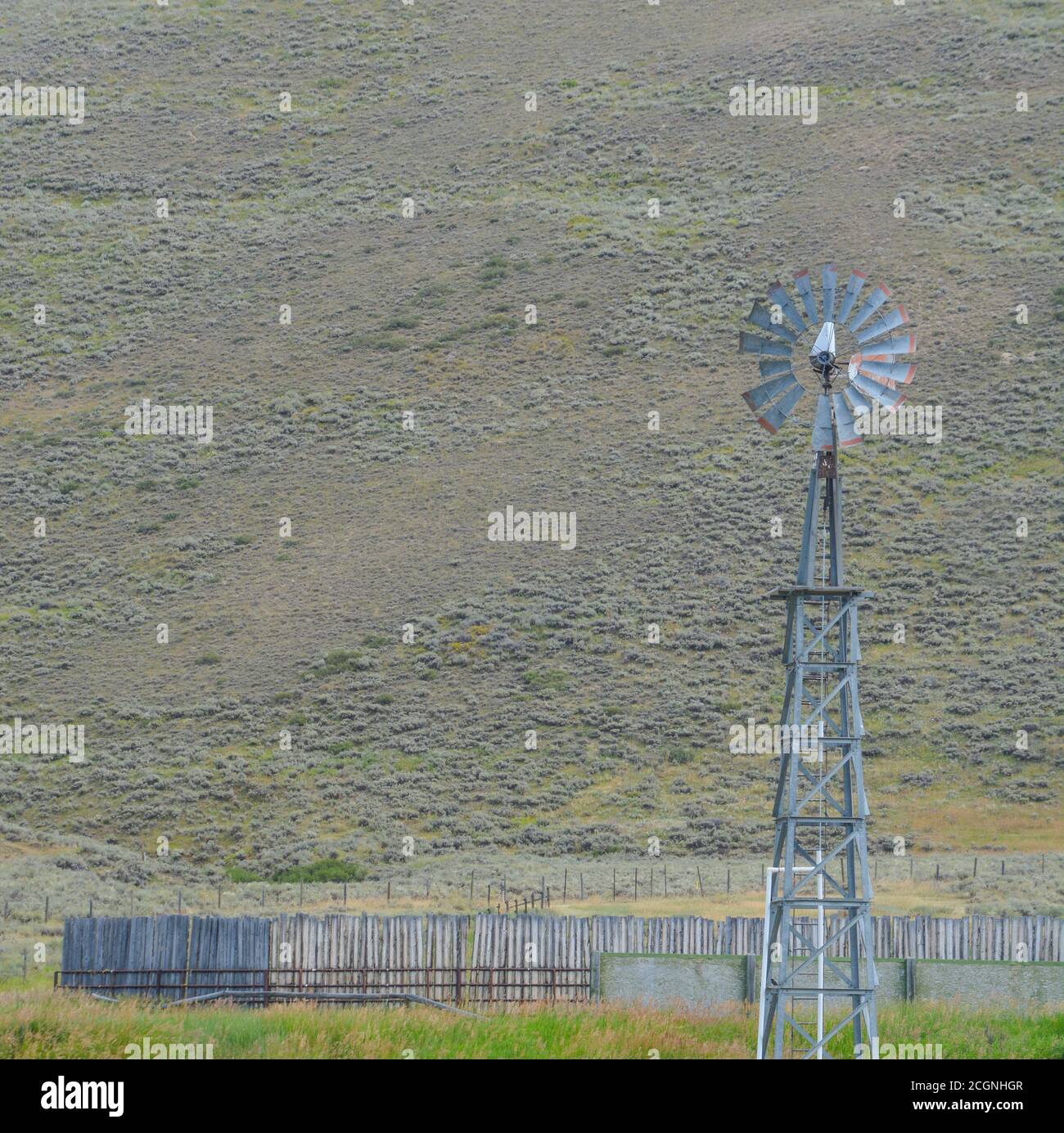 Diese Windmühle pumpt Wasser für Pferde auf diesem Farm in Colorado Stockfoto