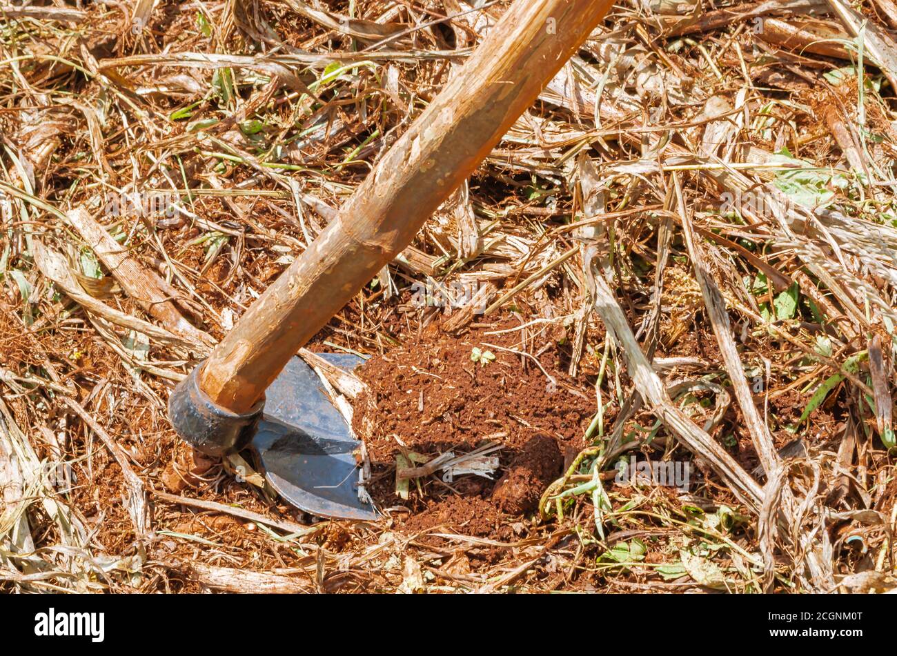 Hacken graben -Fotos und -Bildmaterial in hoher Auflösung – Alamy
