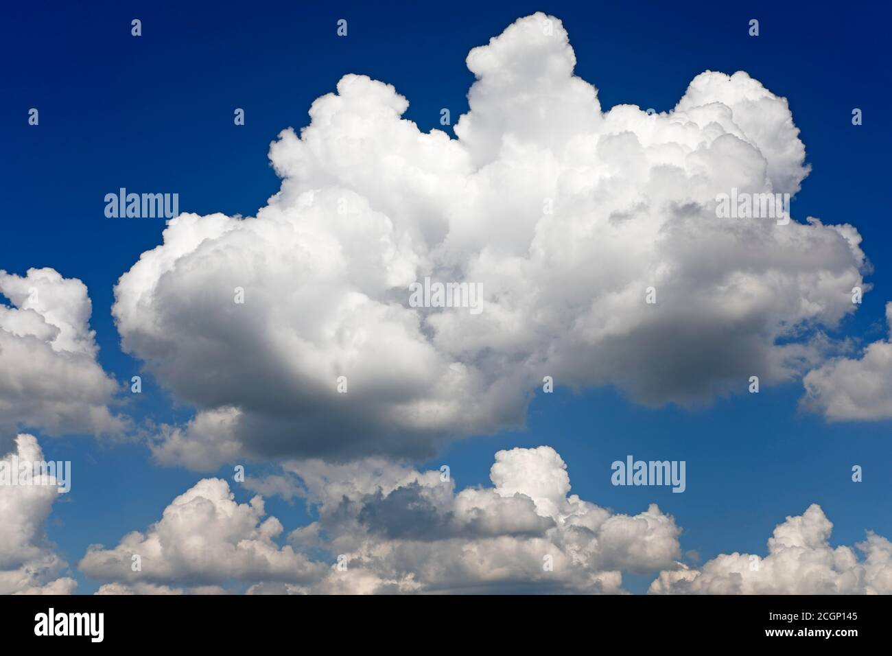 Blauer Himmel mit weißen Kumuluswolken (Cumulus), Schleswig-Holstein, Deutschland Stockfoto