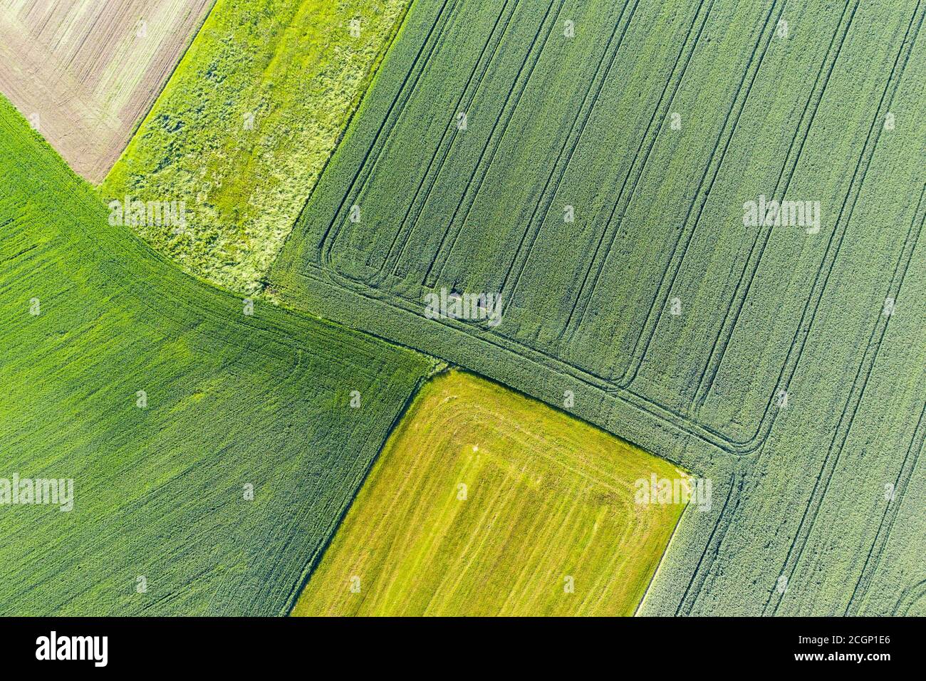 Grüne Felder und Wiesen, bei Huglfing, Pfaffenwinkel, Drohnenaufnahme, Oberbayern, Bayern, Deutschland Stockfoto