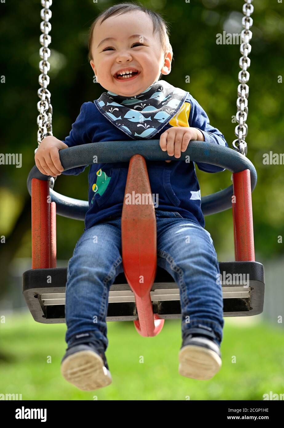 Kleinkind, Junge, 14 Monate, multiethnisch, auf Kinderschaukel, lacht, Blaubeuren, Baden-Württemberg, Deutschland Stockfoto